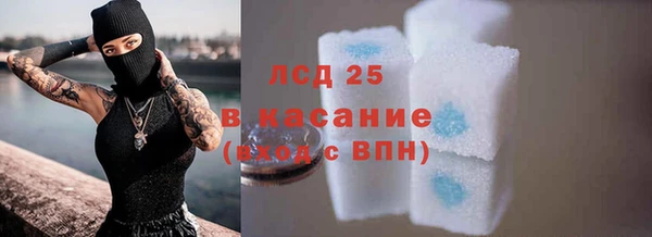 дмт Каменногорск