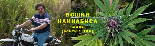 дмт Каменногорск