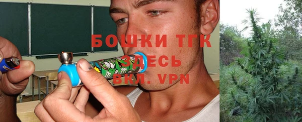 дмт Каменногорск