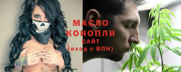 дмт Каменногорск